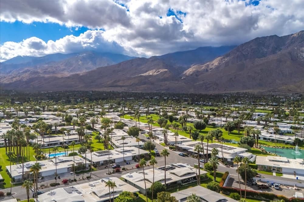 Canyon Palm - Image 45