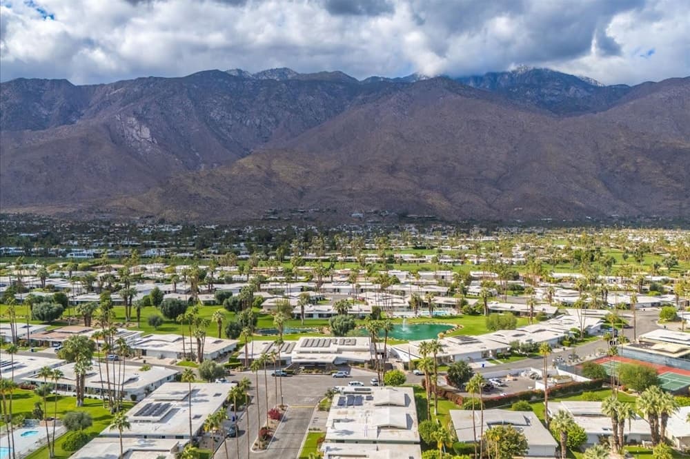 Canyon Palm - Image 3