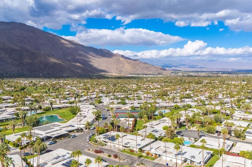 Canyon Palm - Image 46