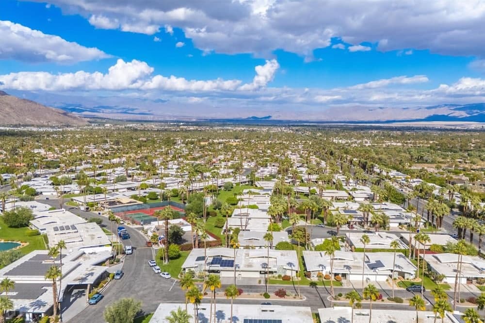 Canyon Palm - Image 47