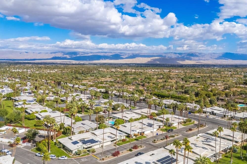 Canyon Palm - Image 48