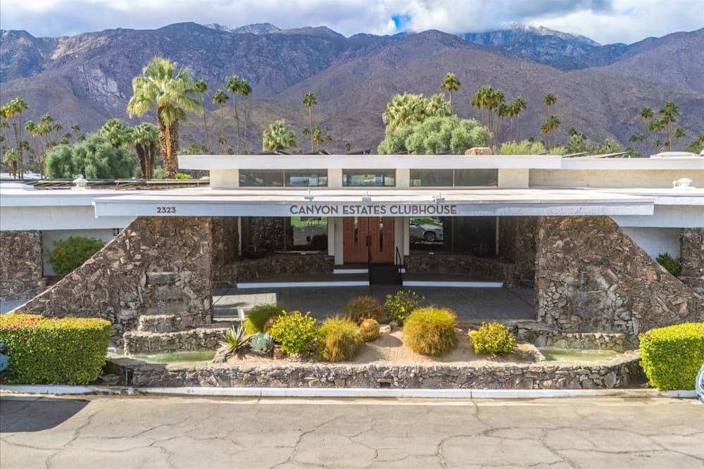 Canyon Palm - Image 49