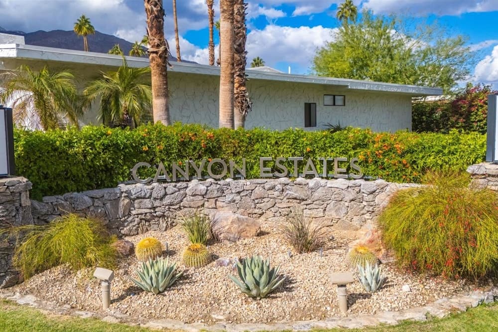 Canyon Palm - Image 53