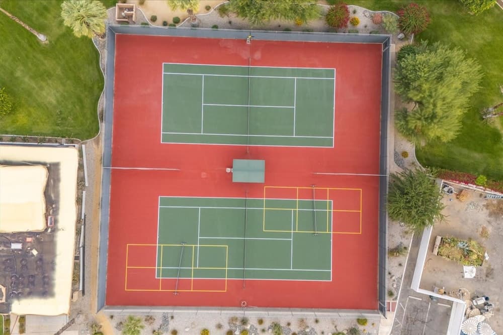 Canyon Palm - Image 54