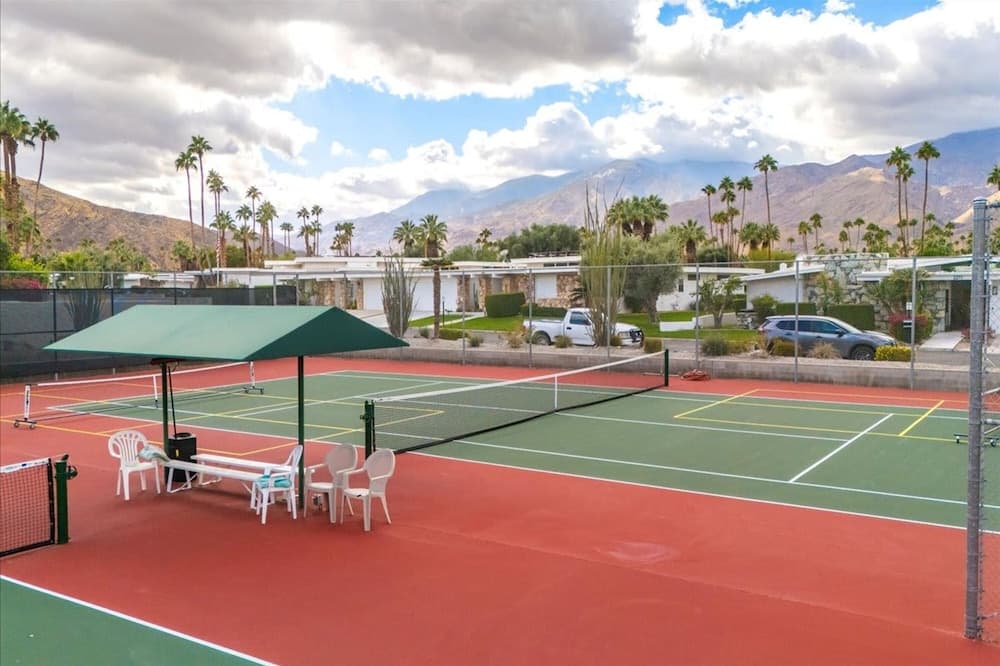 Canyon Palm - Image 55