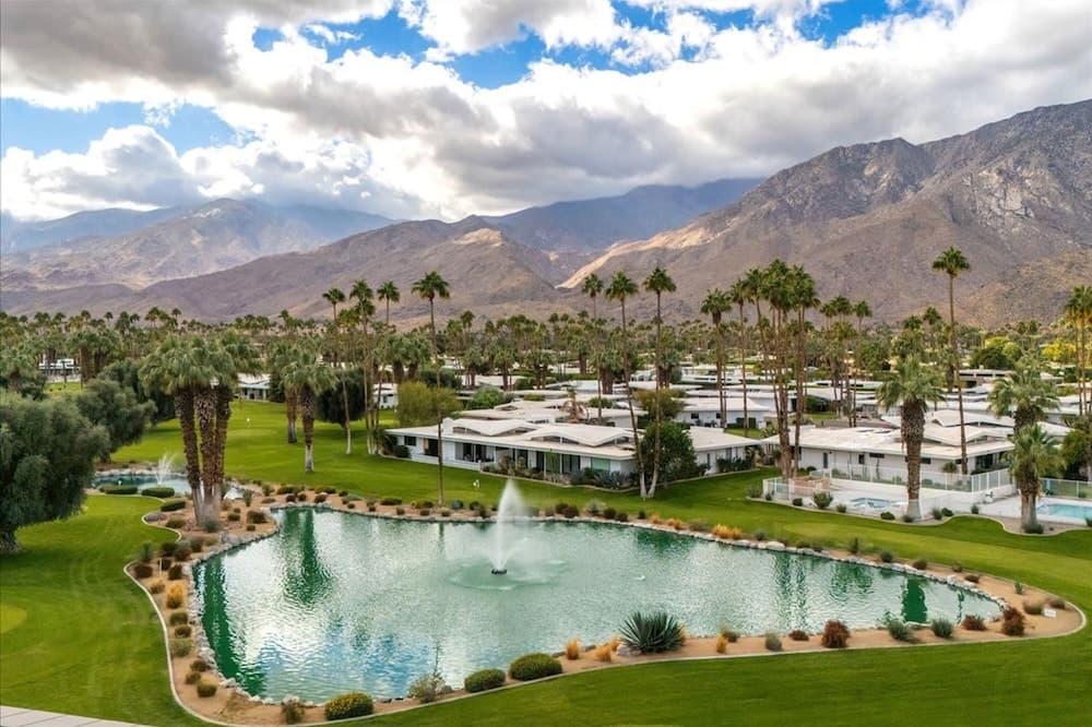 Canyon Palm - Image 56