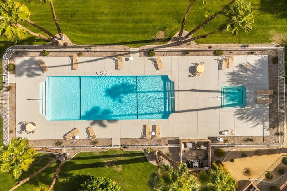 Canyon Palm - Image 57