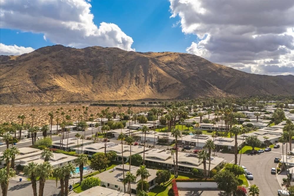 Canyon Palm - Image 59