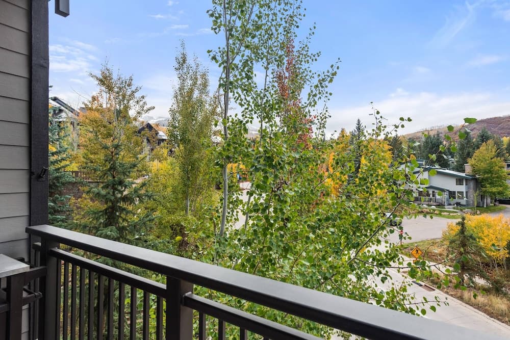 Capitol Peak #C3127 - Image 29