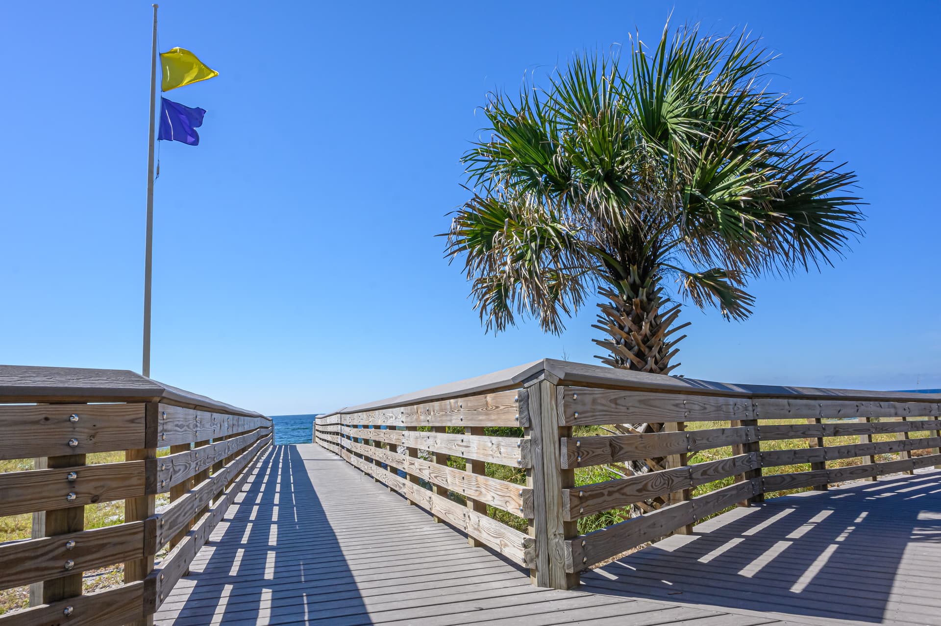 Carefree Days - Image 51