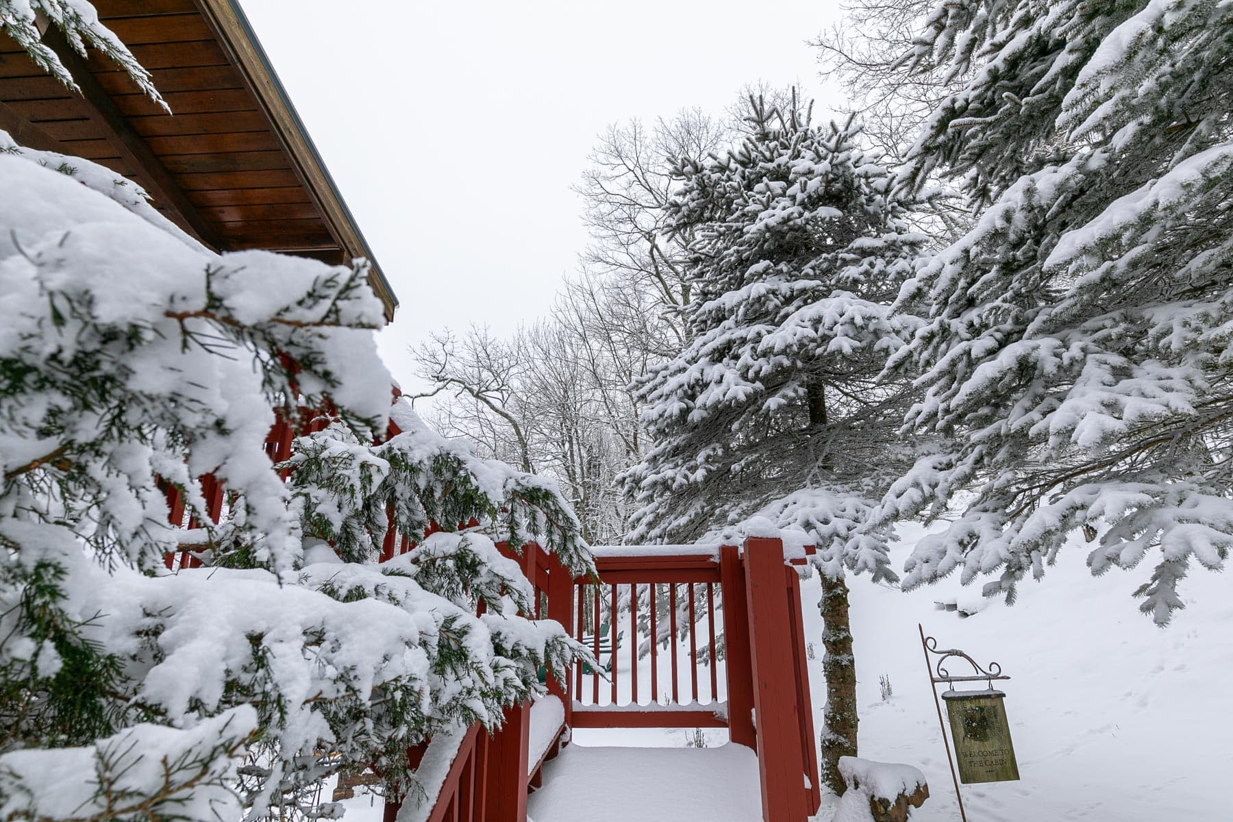 Carolina Lookout - Image 42