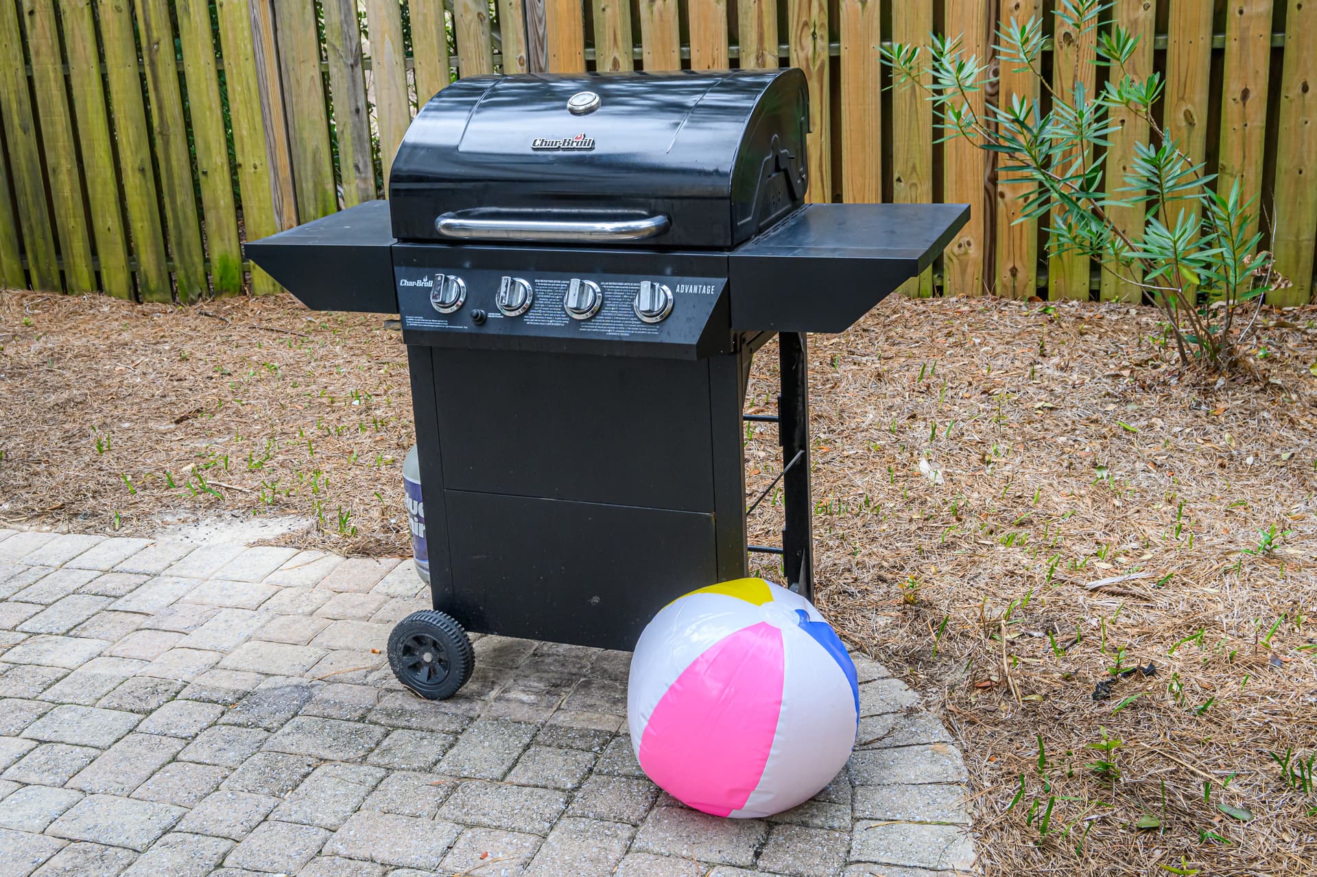 Casa da Palmeira - Image 36