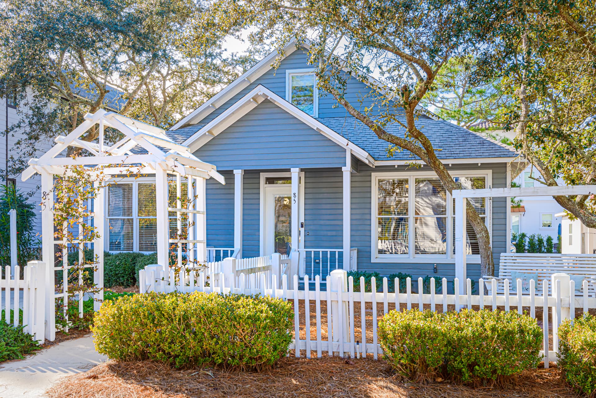 Cassine Dream - Image 33