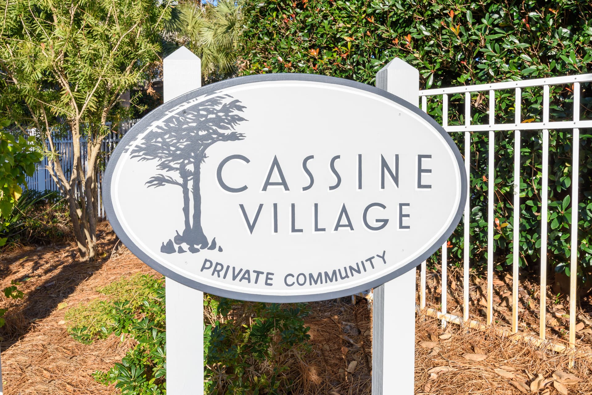 Cassine Dream - Image 34