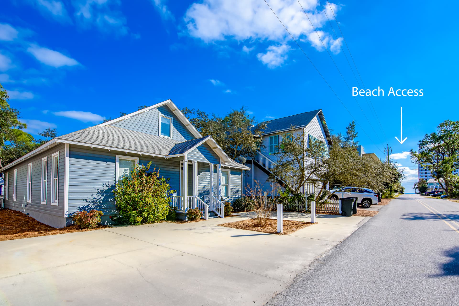 Cassine Dream - Image 2