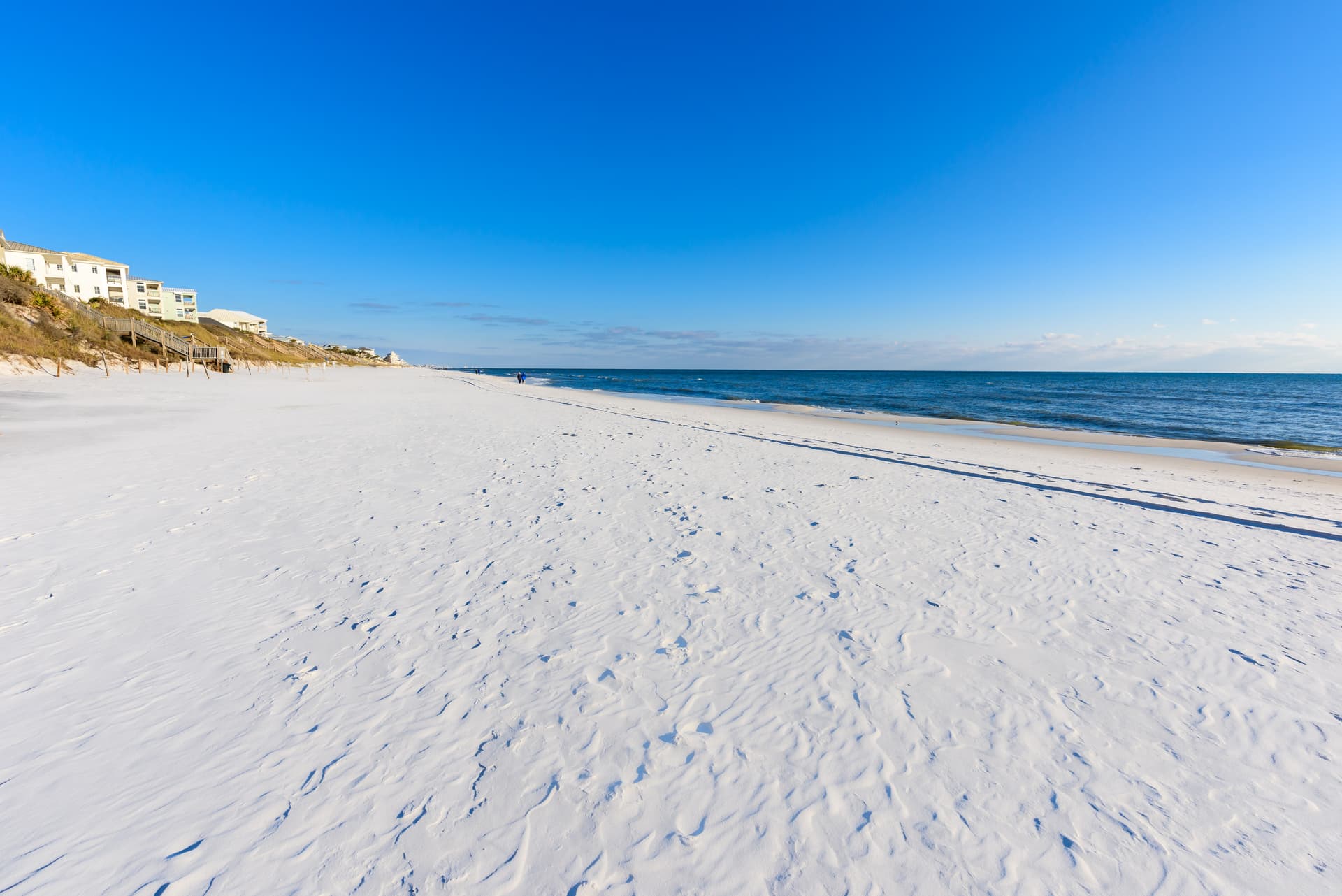 Cassine Dream - Image 37