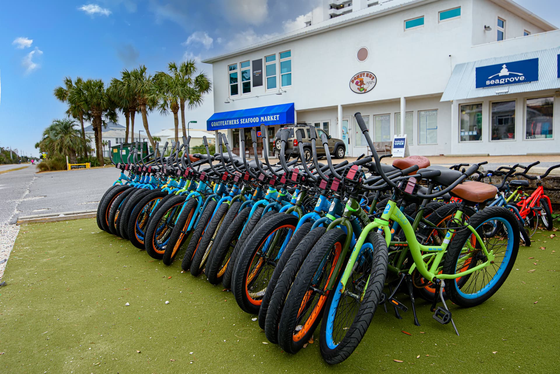 Cassine Dream - Image 53