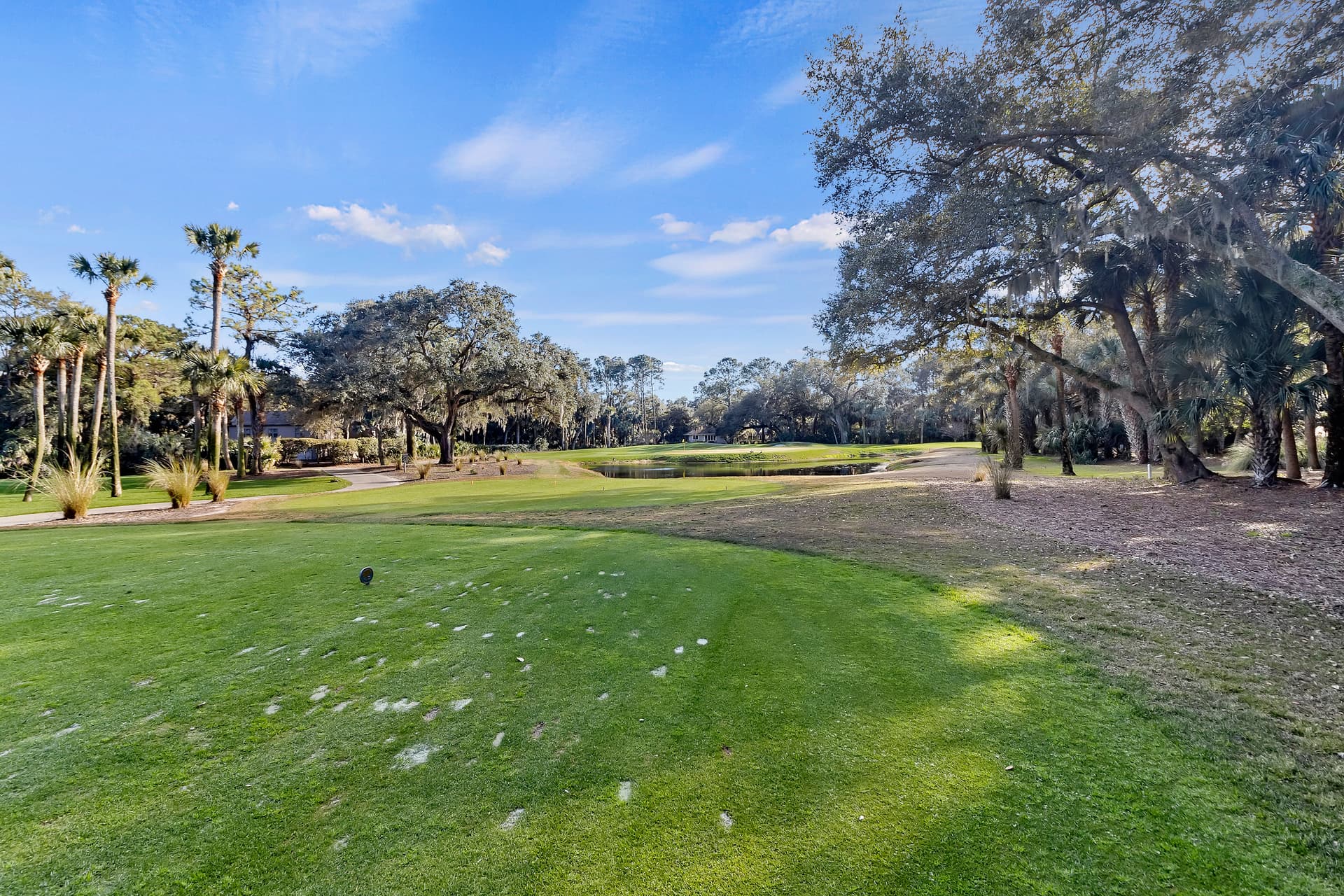 Cotton Hall - Image 44