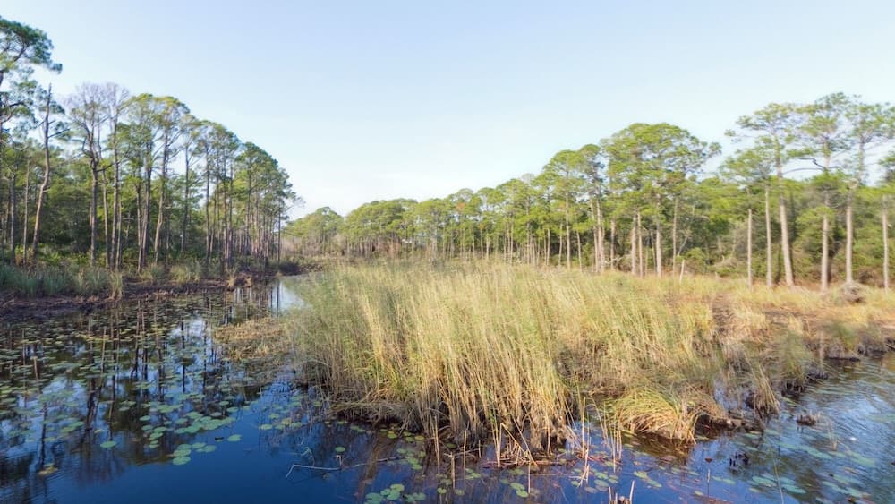 Deja Blue #M-2 422 - Image 77