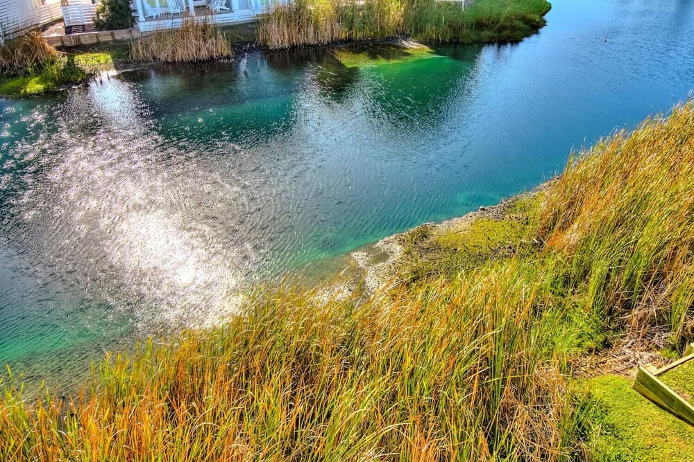 Coastal Hideaway #230 - Image 49