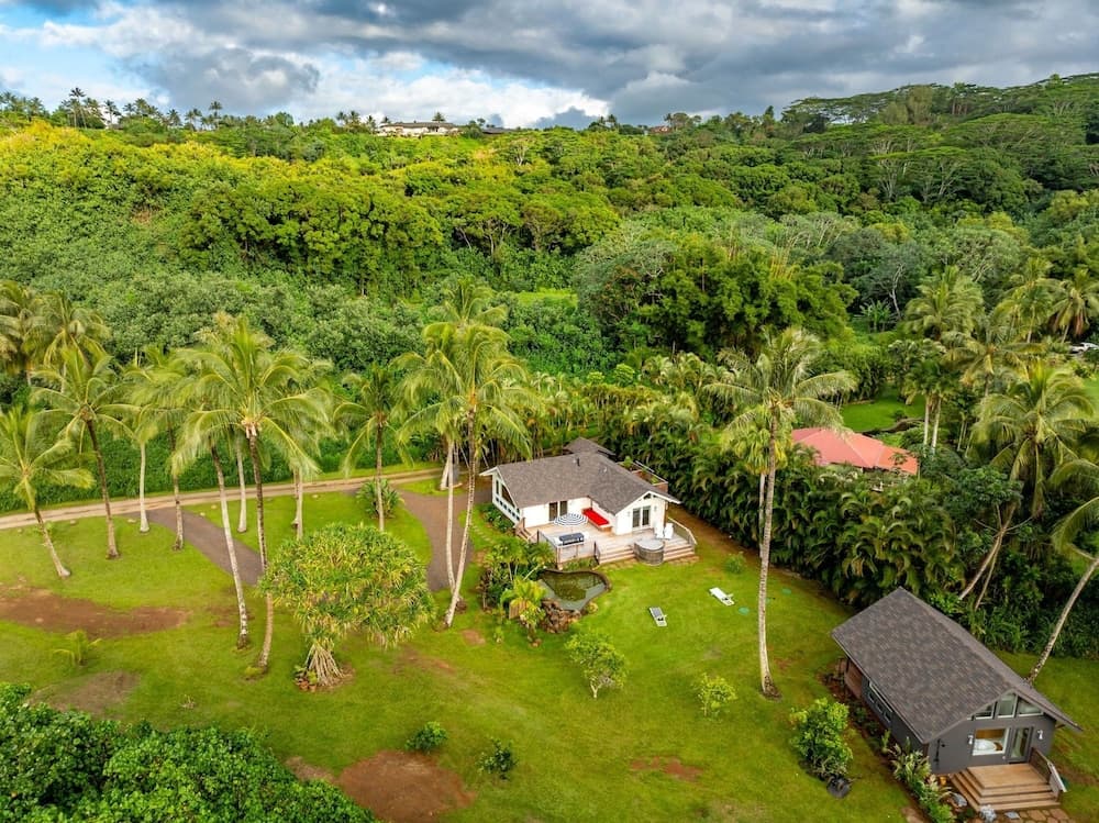 Coconut Hut - Image 25