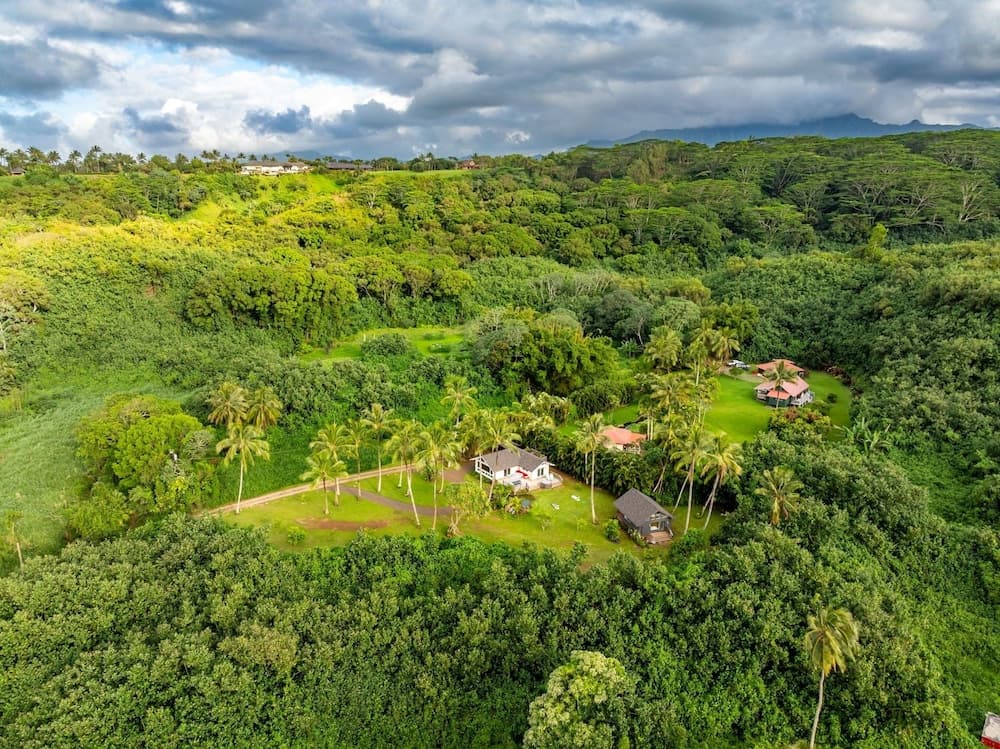 Coconut Hut - Image 41