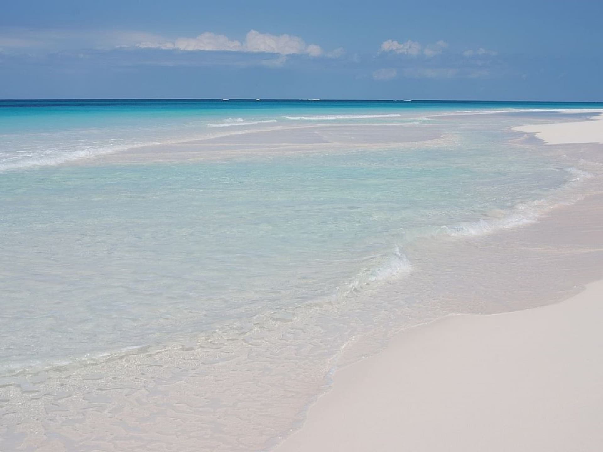 Conch Shell Harbour Island - Image 41