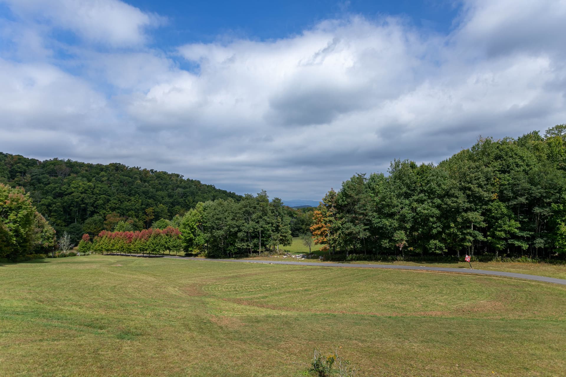 D-Coys Nest - Image 34