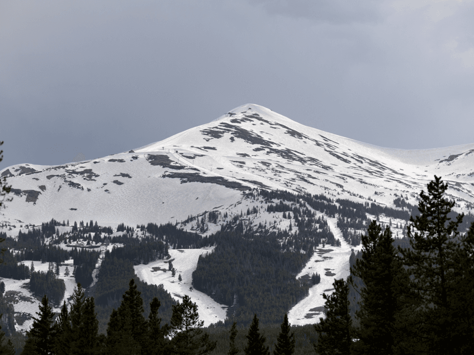 Whale's Tail Watch - Image 37