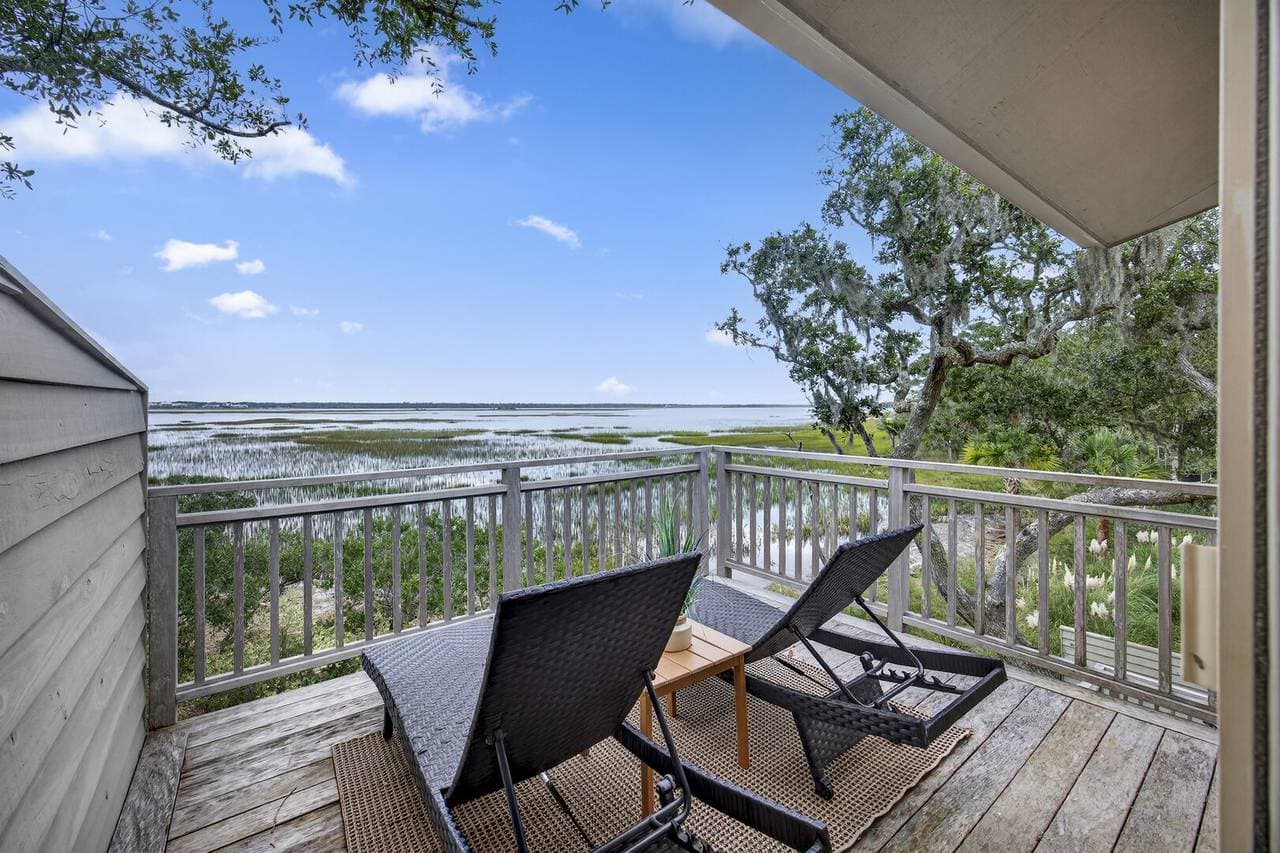 Marsh Hawk - Image 42