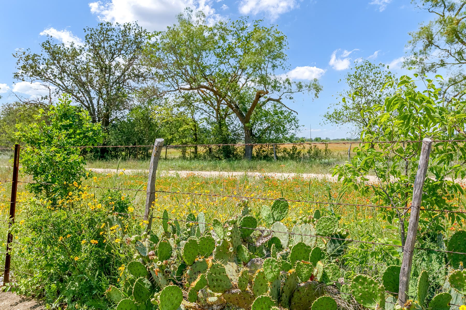 Das Steinhaus - Image 32