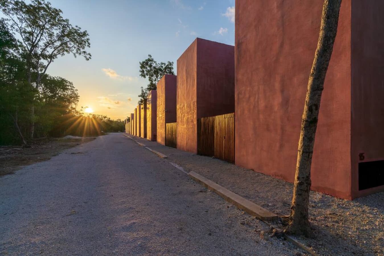 Tulix Moon Pink Paradise - Image 5