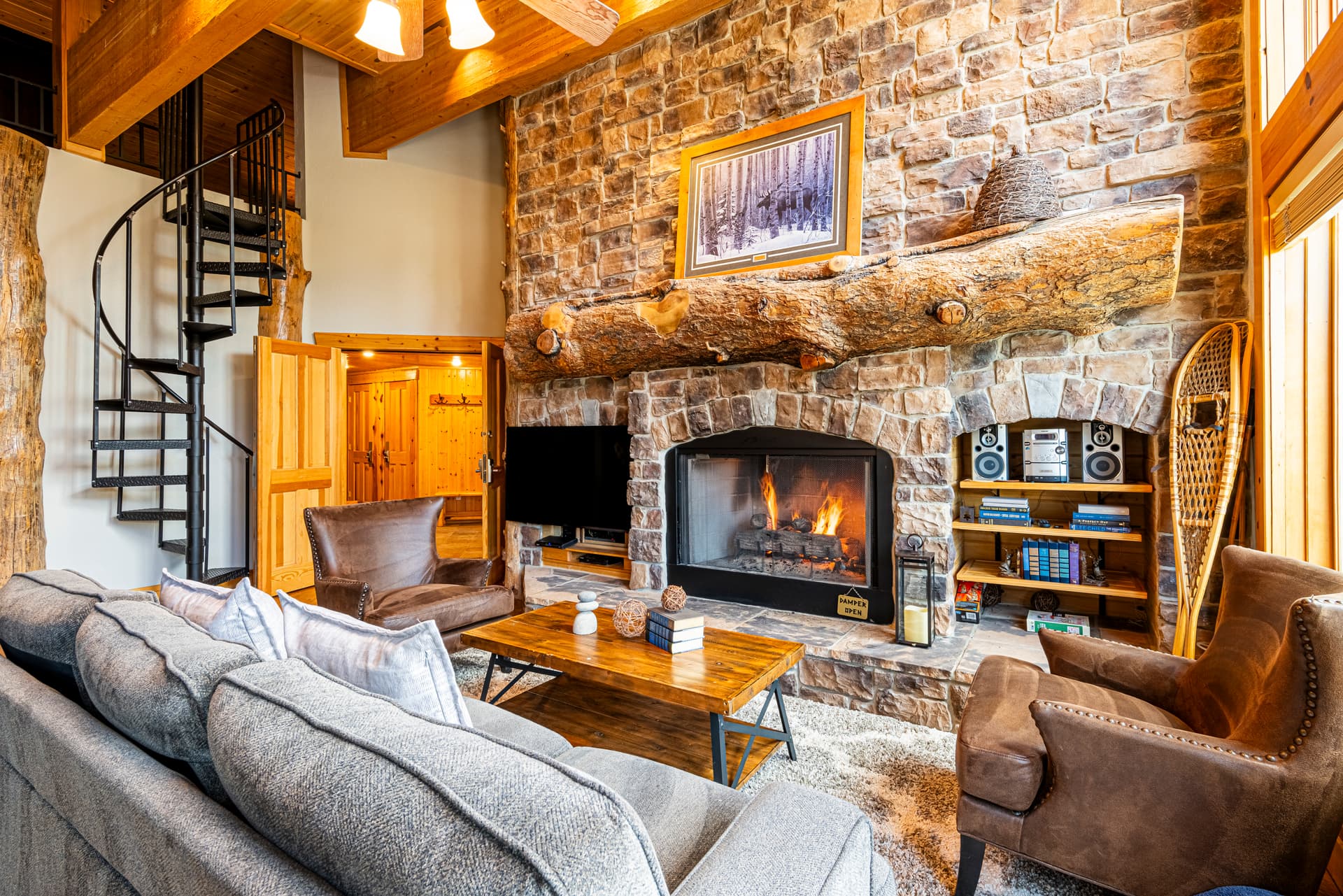 Black Bear #408A - Image 5