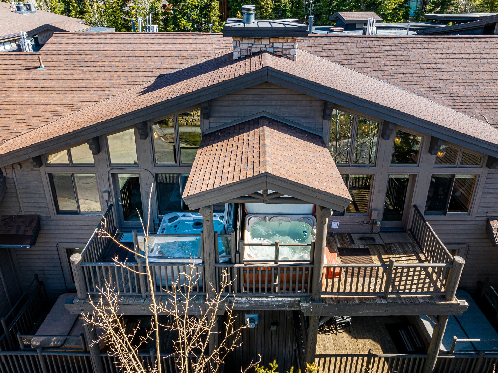 Black Bear #408AB - Image 2