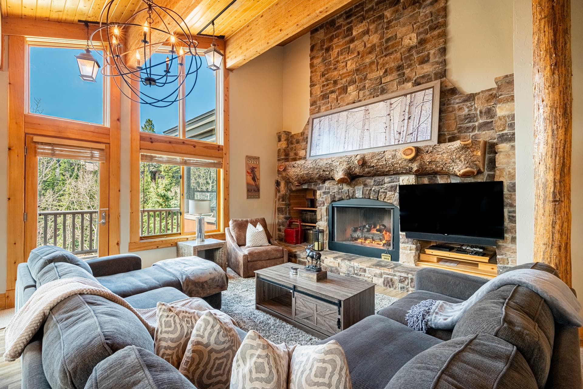 Black Bear #408AB - Image 4