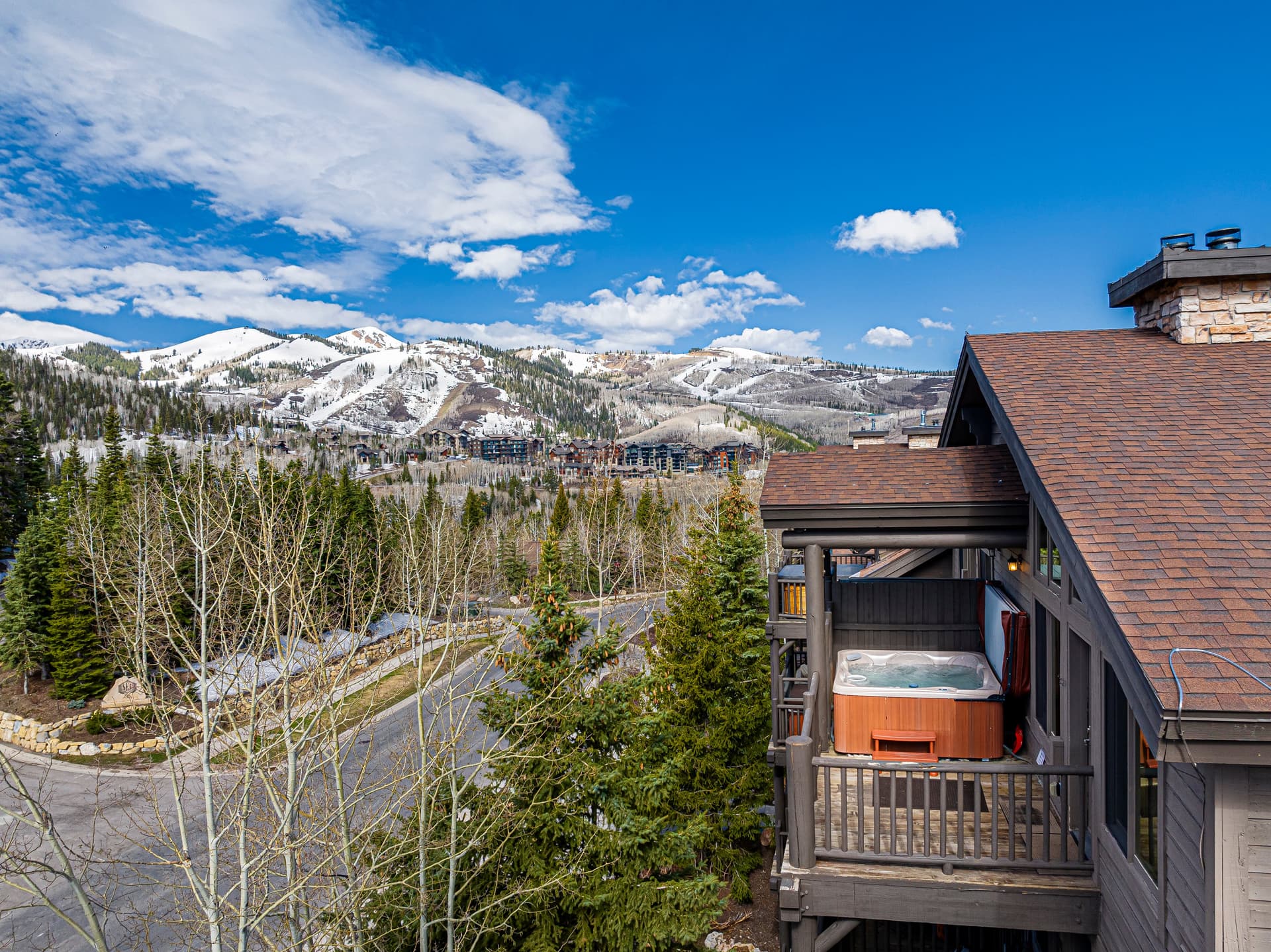 Black Bear #408B - Image 39