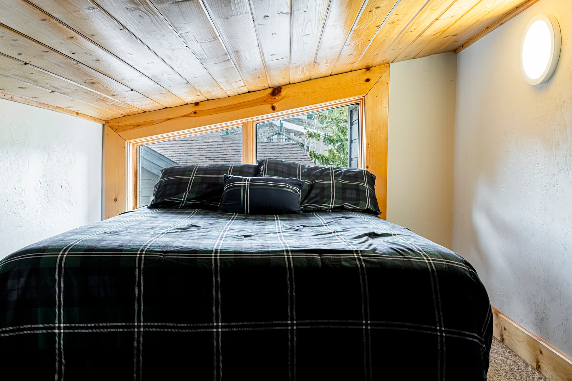 Black Bear #408B - Image 27