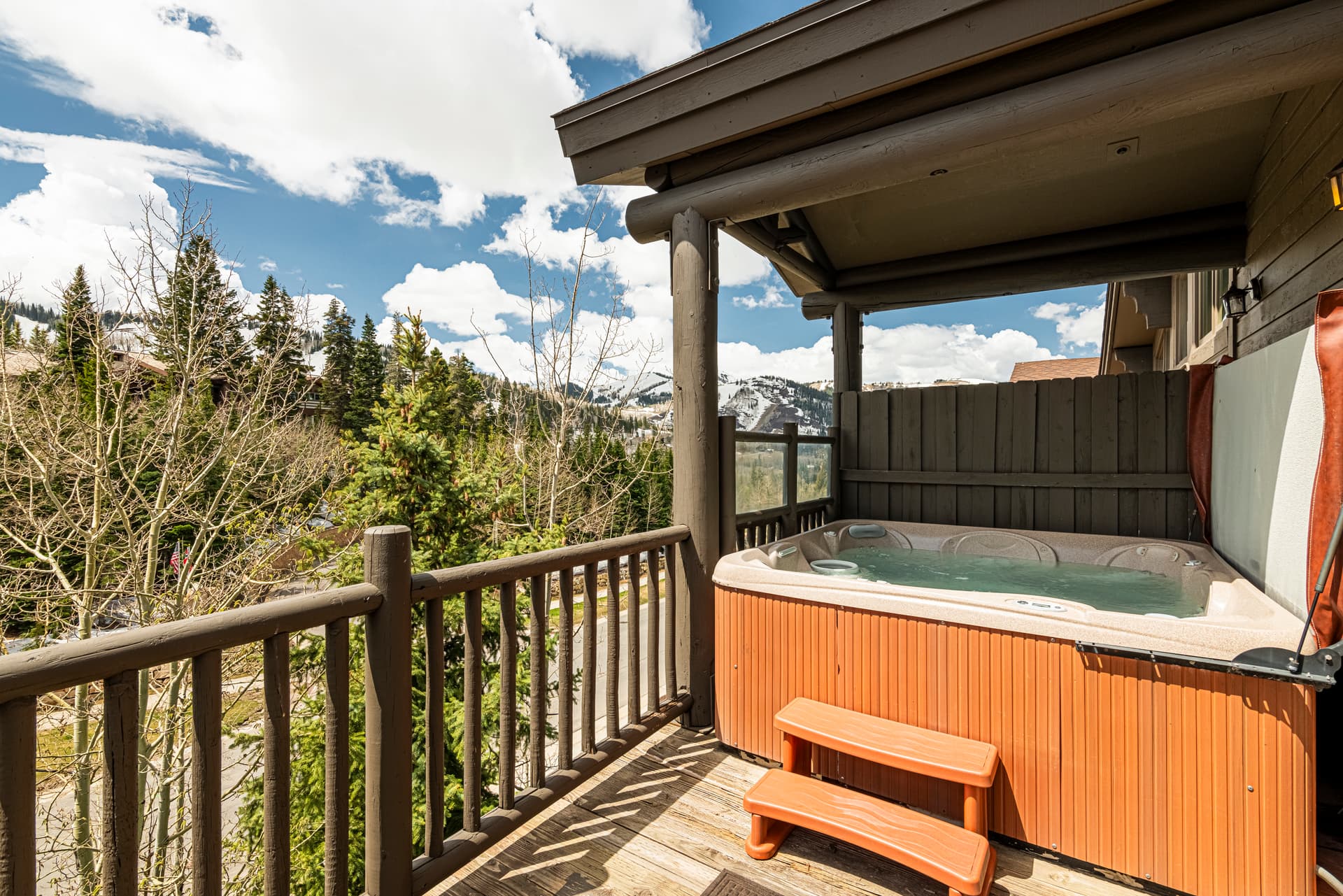 Black Bear #408B - Image 2