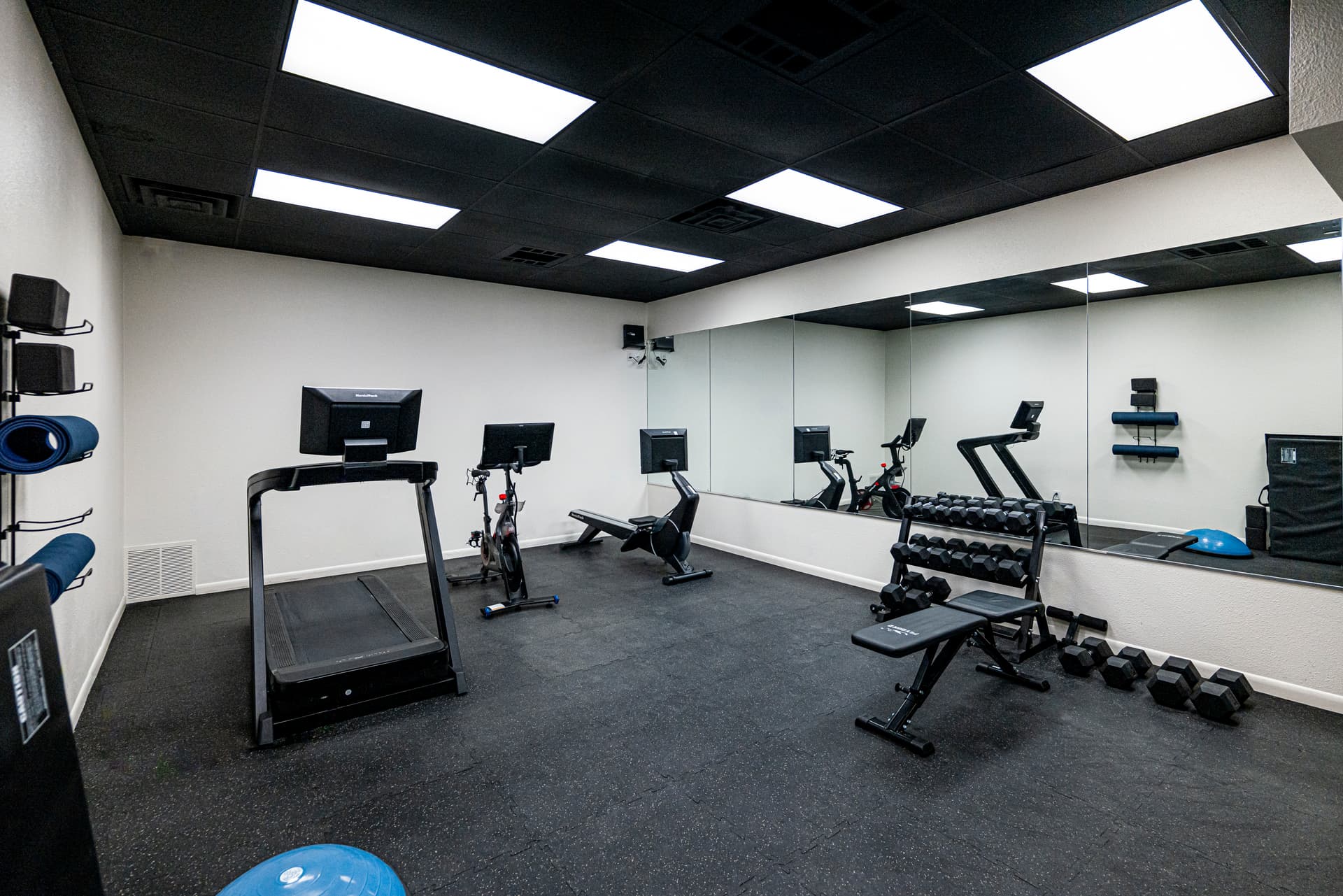 Black Bear #408B - Image 44