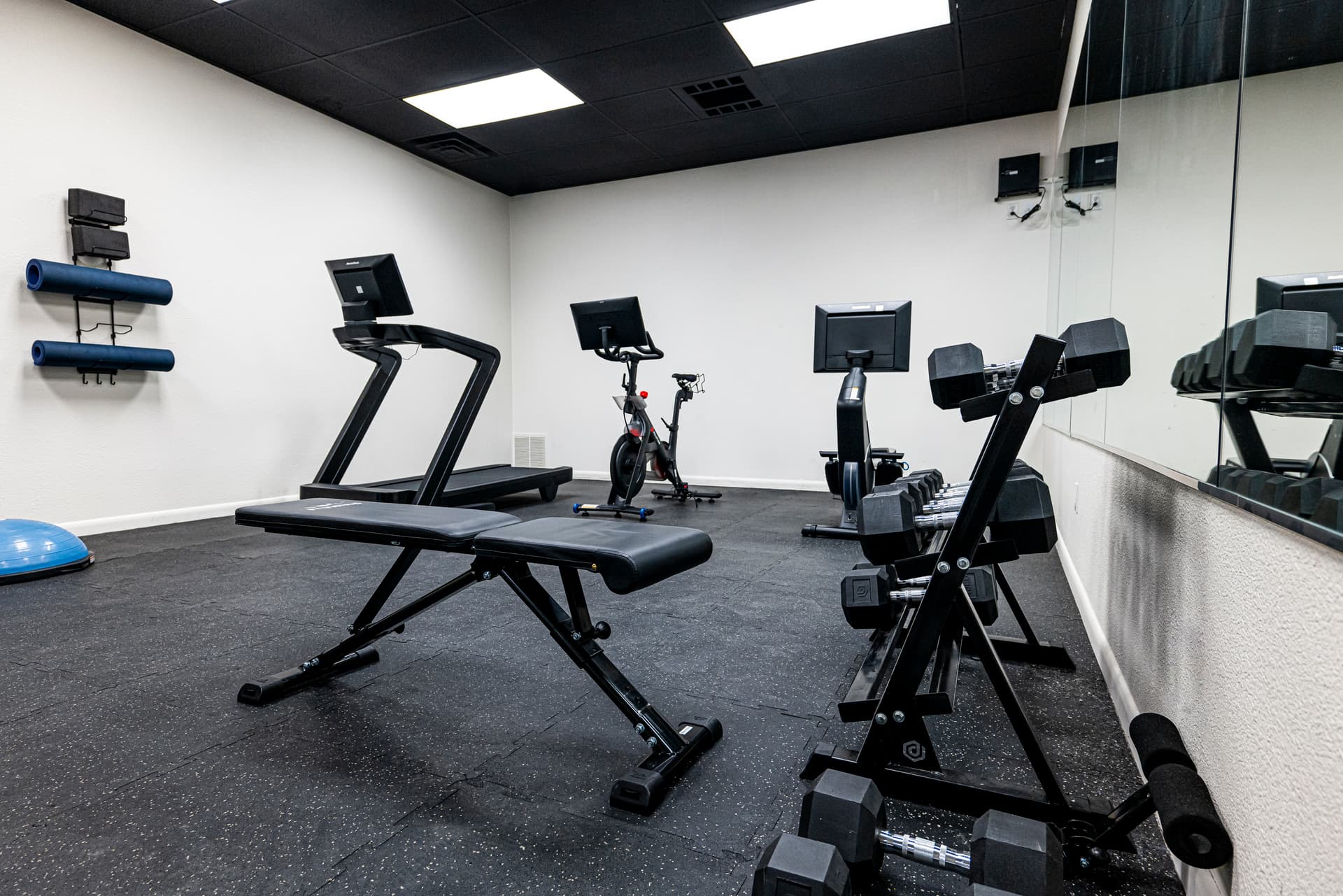 Black Bear #408B - Image 45