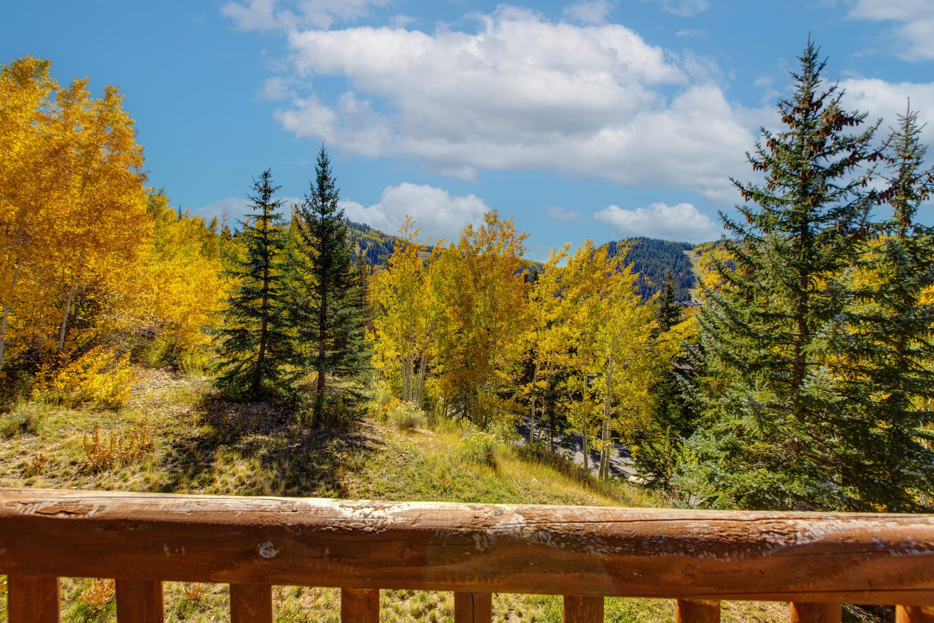 Double Eagle Condo #11 - Image 32