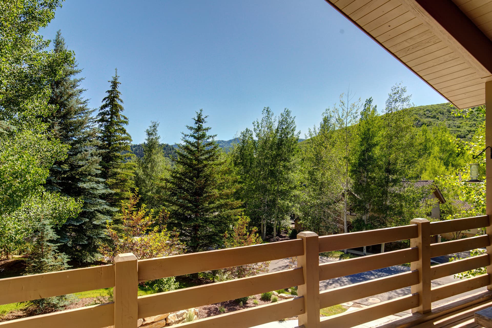 Queen Esther - Image 35