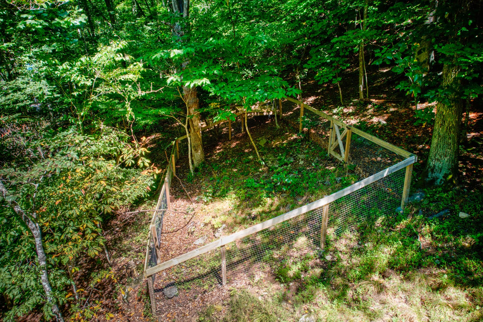 Deerwood Manor - Image 44