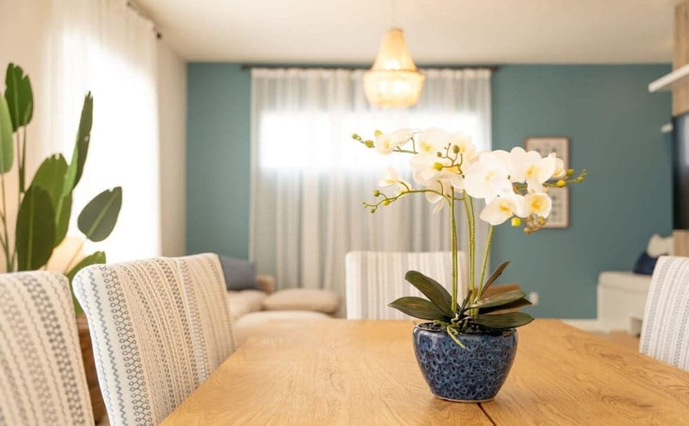 Parkview Oasis - Image 7