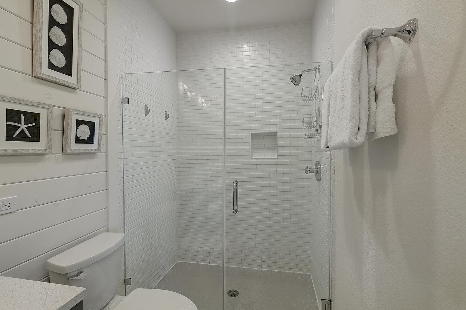 Dolphin Destiny - Image 19