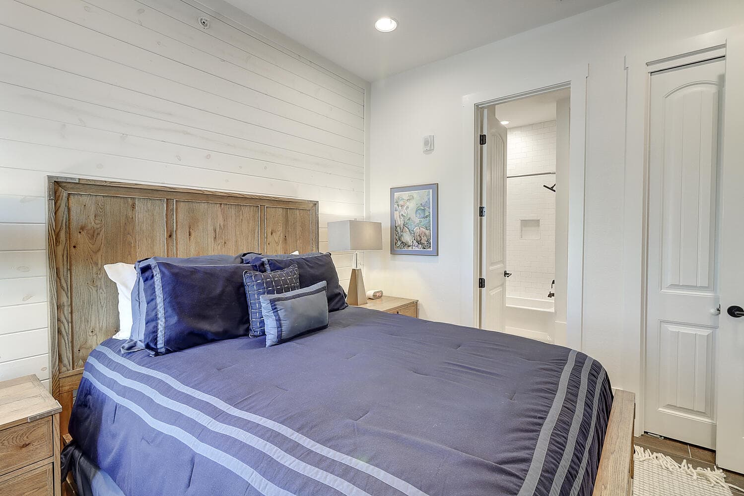 Dolphin Destiny - Image 23