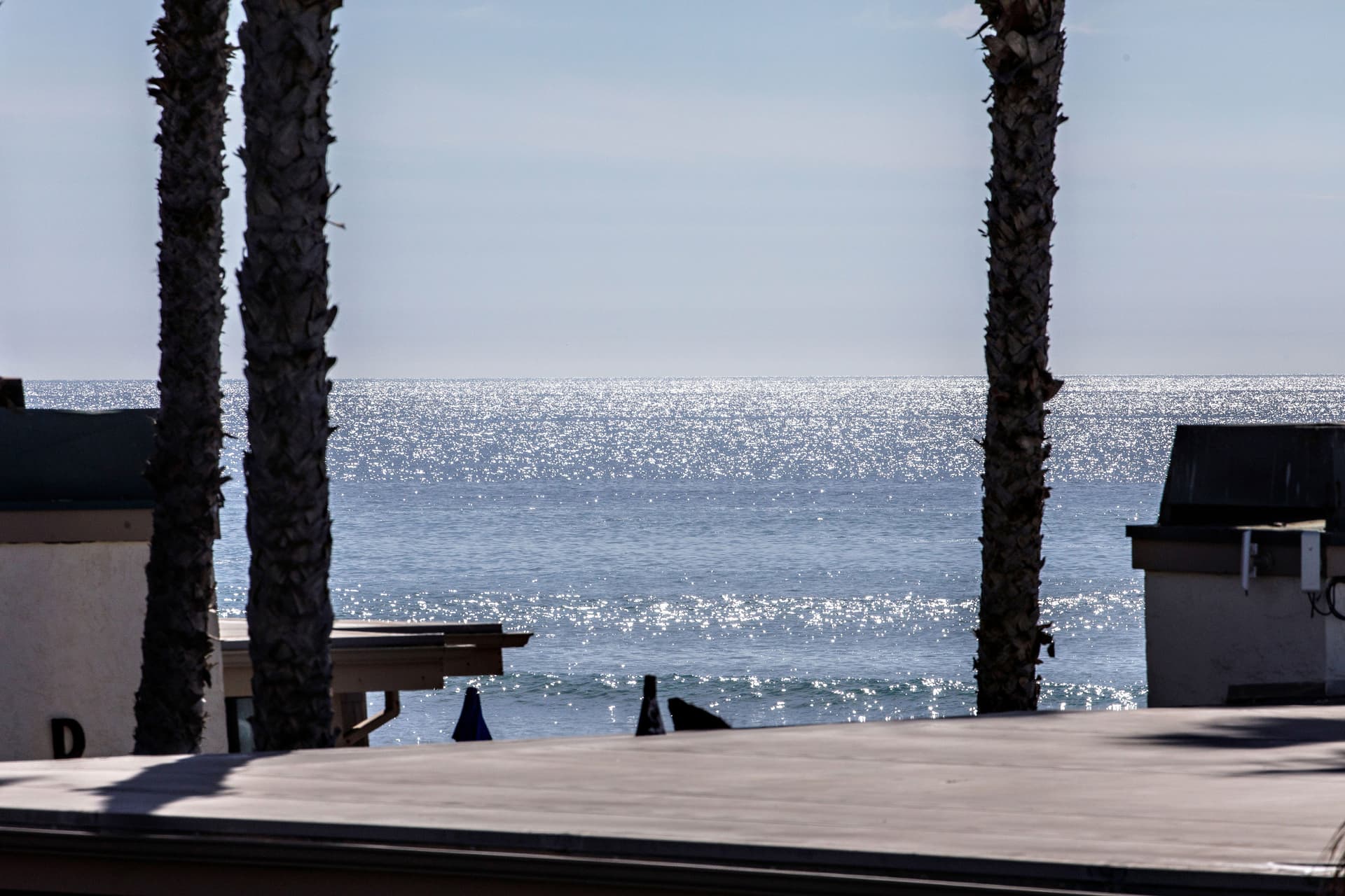 Tropical Oasis #E108 - Image 16