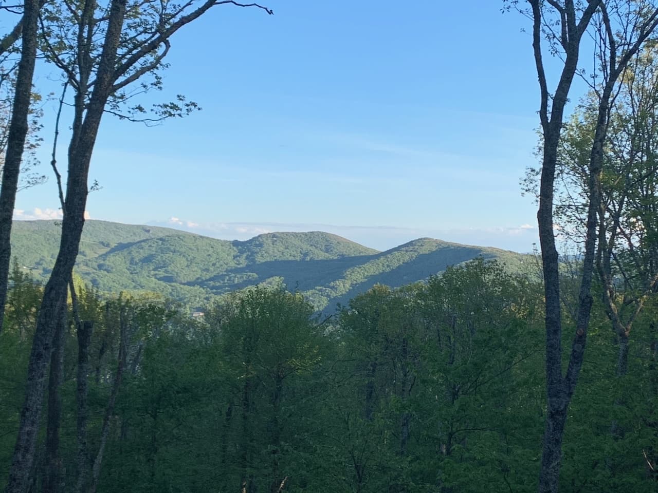 Eagles Landing House - Image 7