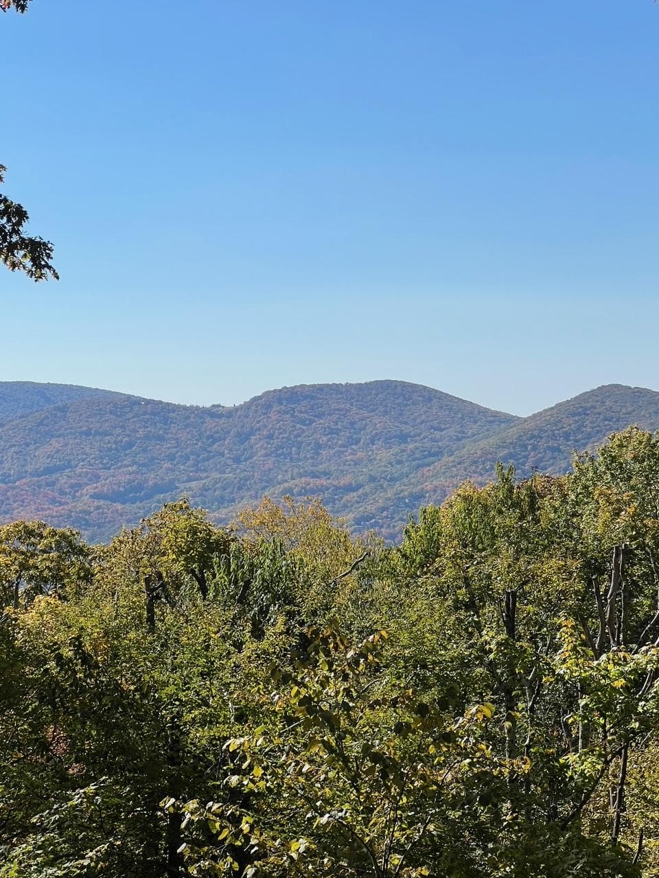 Eagles Landing House - Image 8