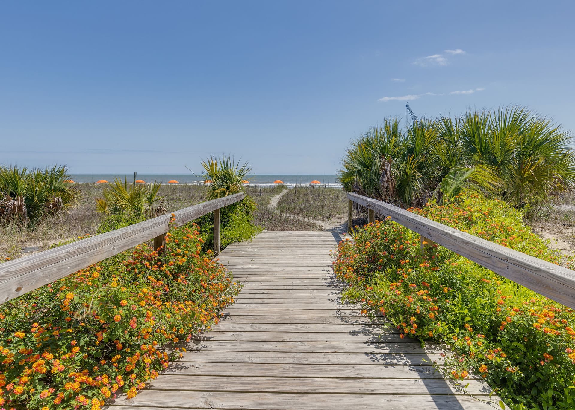 Mermaid Cove Opal - Image 30